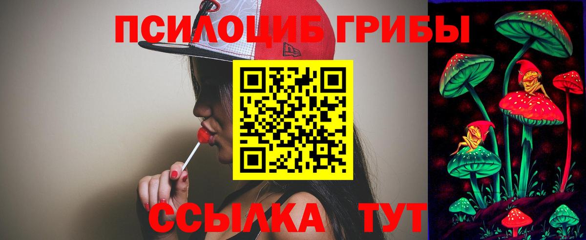 Галлюциногенные грибы Psilocybe Серпухов