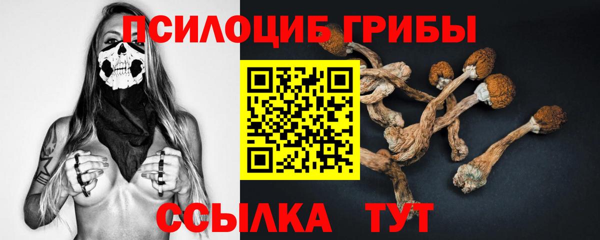 Серпухов  Галлюциногенные грибы мухоморы  Вход с VPN 